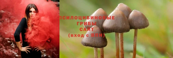 каннабис Няндома
