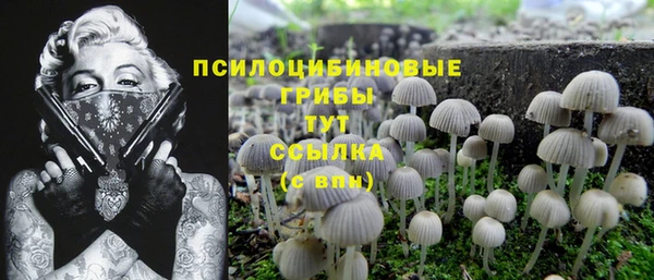 не бодяженный Новодвинск