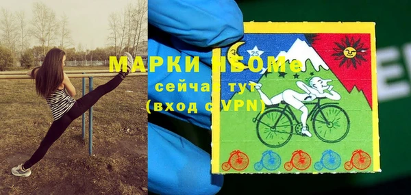 не бодяженный Новодвинск