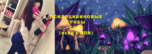 наркотики Новозыбков