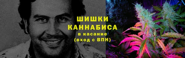 наркотики Новозыбков
