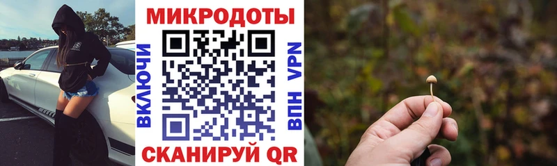 Псилоцибиновые грибы MAGIC MUSHROOMS  Псков 