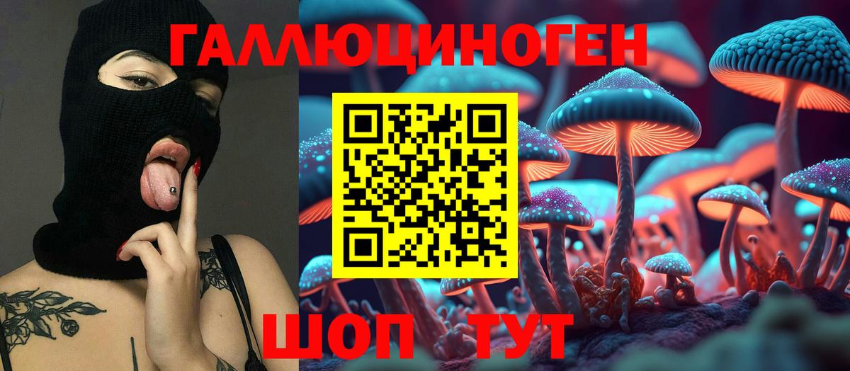 Псков  наркотики  Вход с VPN  Псилоцибиновые грибы Cubensis 
